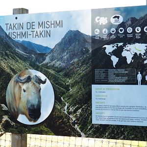 Signage Mishmi takin, 2021-05-29