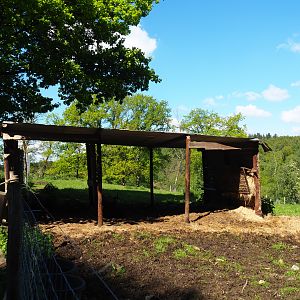 Mishmi takin shelter, 2021-05-29