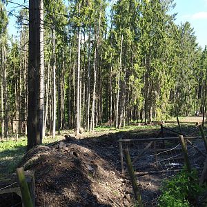 Central European wild boar area with ongoing renovation of fencing, 2021-05-29