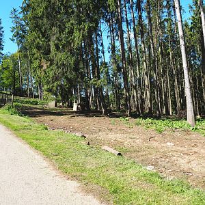Central European wild boar area with ongoing renovation of fencing, 2021-05-29