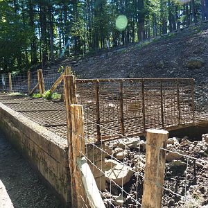 Weird muddy Central European wild boar pen, 2021-05-29