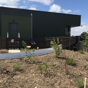 Outside giraffe house