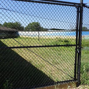 Blue Crane exhibit - Spirit of Africa