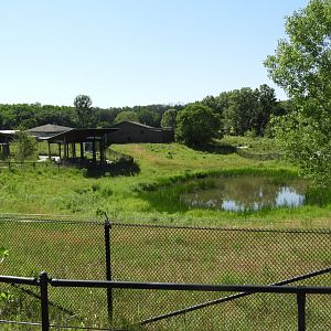 Wattled Crane exhibit - Spirit of Africa