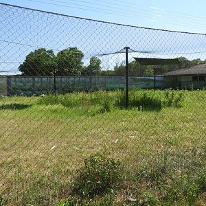 Eurasian Crane exhibit - New in 2021