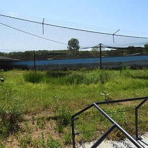 Hooded Crane exhibit - New in 2021