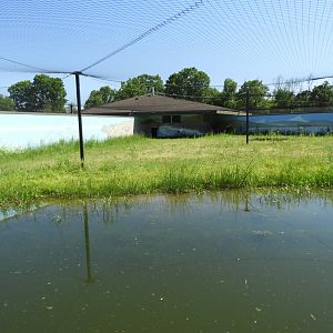 Red-crowned Crane exhibit - New in 2021