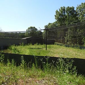 Brolga exhibit - New in 2021