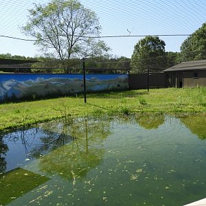 Black-necked Crane exhibit - New in 2021