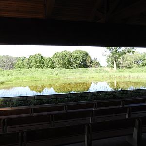 Whooping Crane exhibit