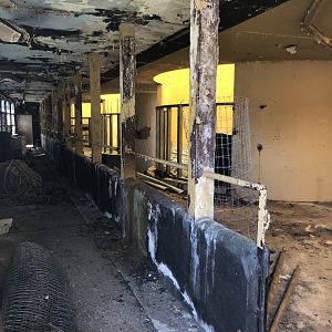 Inside the Tecton Elephant House at Whipsnade Zoo