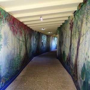 Tunnel Mural