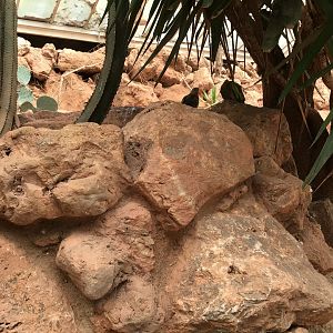 Inside the Desert House June 15th 2021