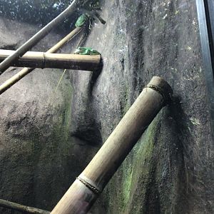 Reptile House Paignton Zoo June 15th 2021