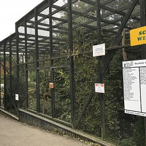 Scottish wildcat enclosure