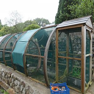 Aviary (Pen-y-cae Inn Zoo)