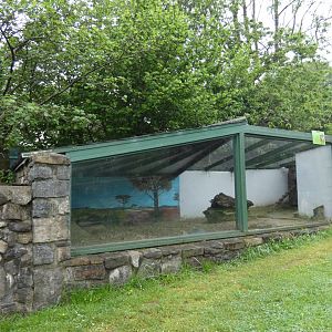 Meerkat indoor enclosure (Pen-y-cae Inn Zoo)