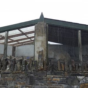 Second meerkat enclosure (Pen-y-cae Inn Zoo)