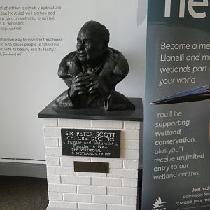 Sir Peter Scott statue