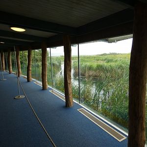 Millenium wetlands viewing area