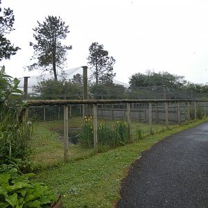 Rearing aviaries