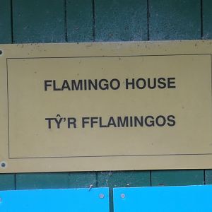 Flamingo house signage