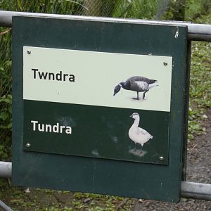 Tundra entry signage