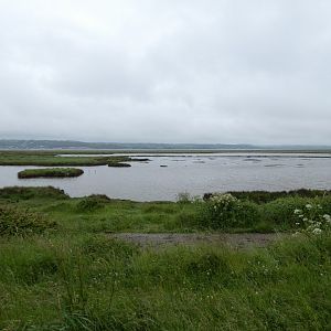 View of Burry Inlet and Loughor Estuary