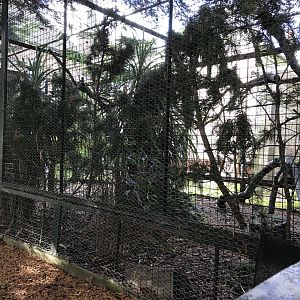 Former margay enclosure