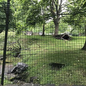 Chinese goral enclosure