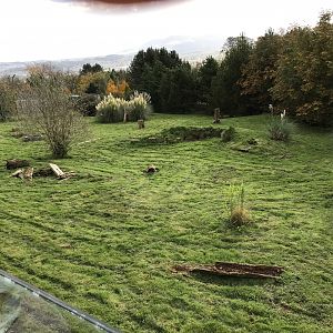 Giant anteater enclosure