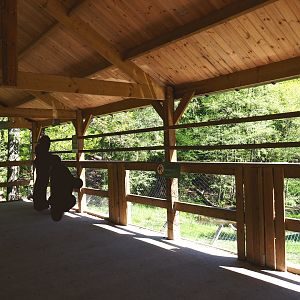 Eurasian brown bear forest viewing area, 2021-05-29