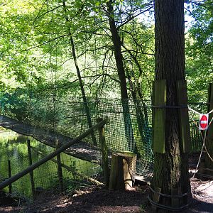 Adventure bridge over forest lake (Closed due to Covid), 2021-05-29