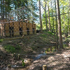 American black bear holding building and part of the American black bear exhibit, 2021-05-29