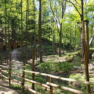 American black bear exhibit, 2021-05-29