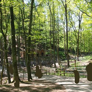 Trail alongside American black bear exhibit, 2021-05-29
