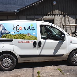 Forestia car, 2021-05-29