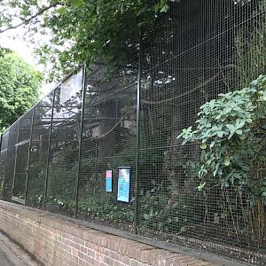 Red fronted macaw aviary
