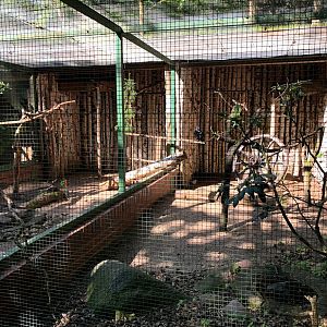 Wildpark Lüneburger Heide- raven aviary- 2021