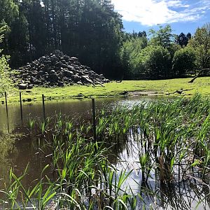 Wildpark Lüneburger Heide- view onto ibex enclosure- 2021