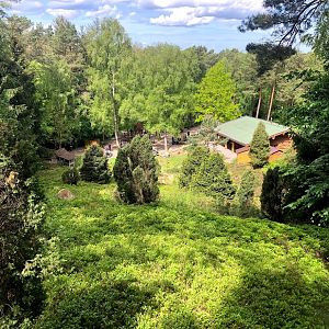 Wildpark Lüneburger Heide- view from the viewing point "Schöne Aussicht"- 2021