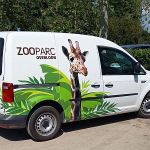 Zoo-car