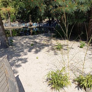 Part of the Penguin-enclosure