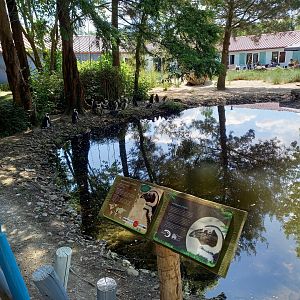 Signs and part of the Penguin-enclosure