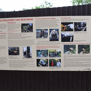 A story of two bears