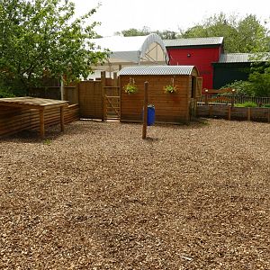 New addition to the Ranch, June 2021