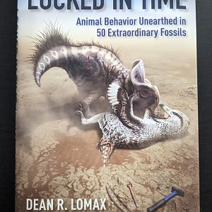 Locked in Time Animal Behavior Unearthed in 50 Extraordinary Fossils