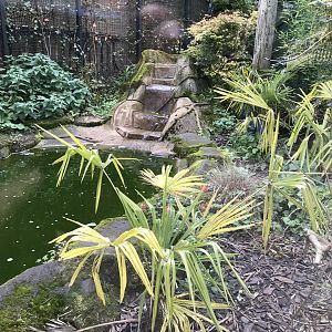 Fishing cat enclosure 1