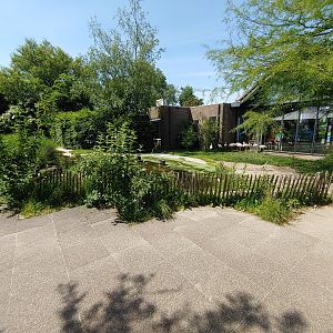 Lesser flamingo enclosure