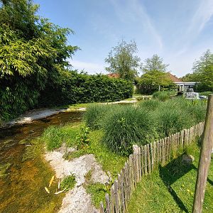 Lesser flamingo enclosure - seen from the African penguin enclosure